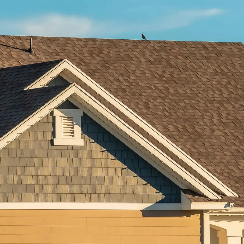 Shingle roofing and roofline detail